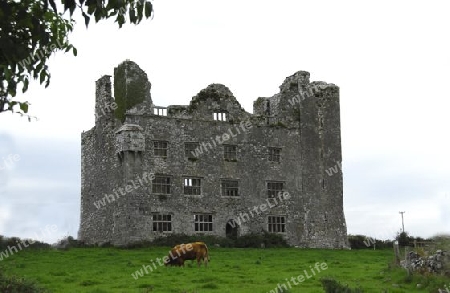 Alte Burg auf Irland