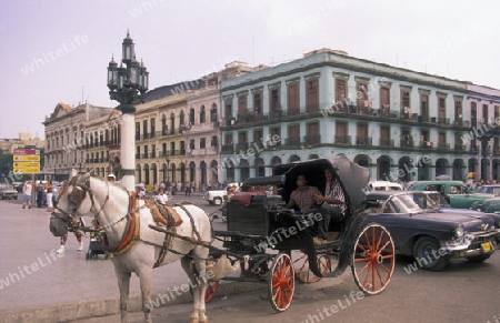 a horse cart in the old City centre of Havana on Cuba in the caribbean sea.