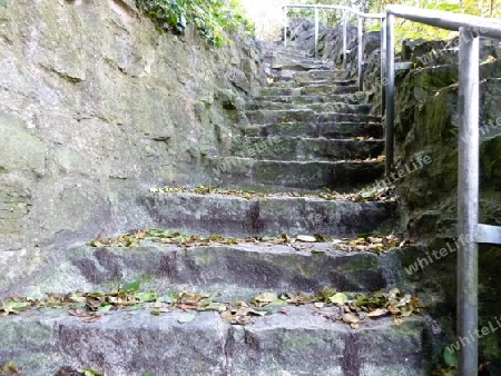 Naturstein-Treppe mit Laub  2