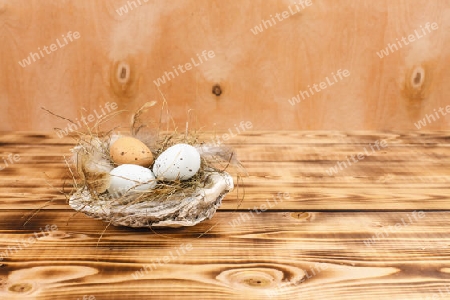 Muschelschale als Nest mit Eier auf Holzhitergrund
