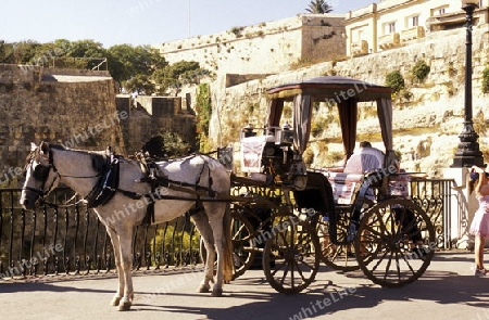 A Hosewagon in the Old Town of the city of Valletta on the Island of Malta in the Mediterranean Sea in Europe.

