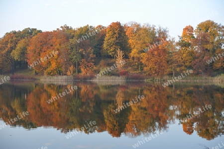 Herbstlicher Haussee in Petzow bei Werder am Schwielowsee