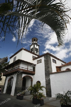 The  Iglesia Nuestra Senora  de la Concepcion in the City Santa Cruz de Tenerife on the Island of Tenerife on the Islands of Canary Islands of Spain in the Atlantic.  