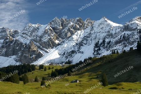 Schweizer Berge