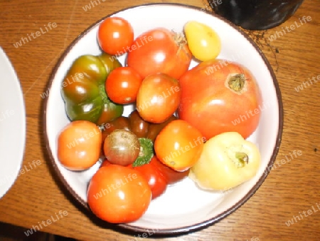 Tomatenvariation