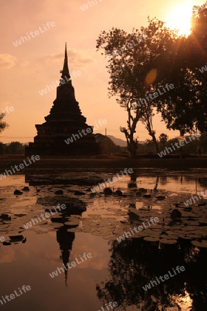 Ein Chedi beim Wat Mahathat Tempel in der Tempelanlage von Alt-Sukhothai in der Provinz Sukhothai im Norden von Thailand in Suedostasien.