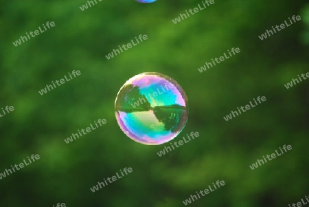 Bubbleworldspiegel