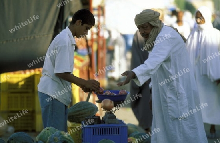 Der Markt auf dem Dorfplatz in der Altstadt von Douz im Sueden von Tunesien in Nordafrika