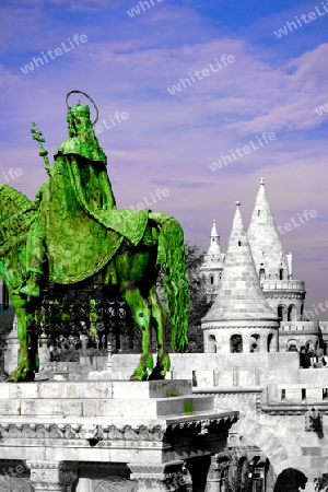 Green Knight of Buda