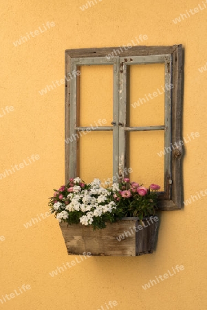 Alter Fensterrahmen mit Blumenkiste zur Dekoration an gelber Wand