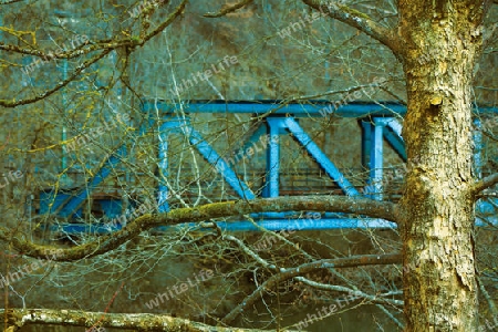 blue shining bridge in an early spring wood