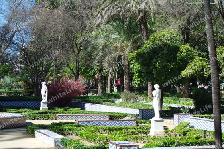Maria Luisa Park, Sevilla