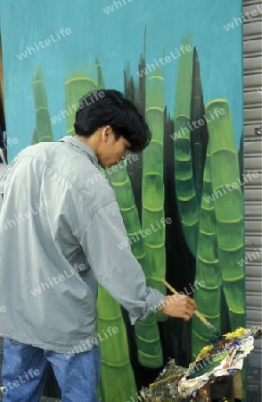 Asien, Vietnam, Mekong Delta, Cantho
Eine Kunst kopier Malerei in der Stadt Ho Chi Minh City oder Saigon in Sued Vietnam.    



