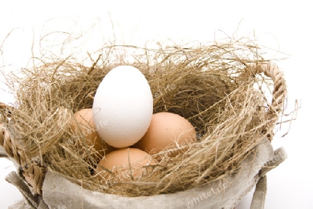 Frische Eier im Nest