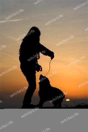 Silhouette der Frau mit dem Hund in der Sonnenuntergang