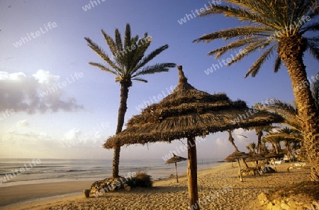 Afrika, Tunesien, Jerba
Ein Strand auf der Insel Jerba im sueden von Tunesien. (URS FLUEELER)






