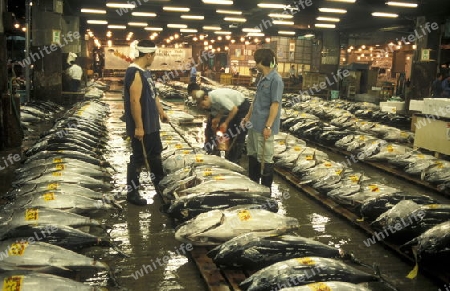 Tuna Fish at the Tsukiji Fishmarket in the City of Tokyo in Japan in Asia,