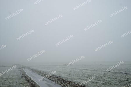 Snowy fields in the fog