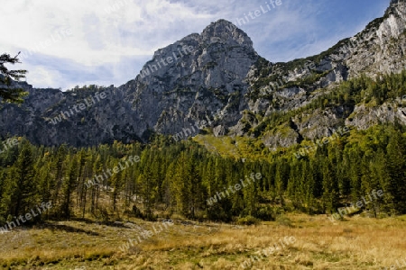 Landschaft an der Halsalm, Nationalpark Berchtesgaden, Germany