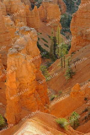 Felsformationen und Hoodoos waehrend Sonnenaufgang, Sunrise Point, Bryce Canyon Nationalpark, Utah, Suedwesten USA