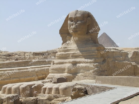 sunny scenery around Giza Necropolis in Egypt including the Sphinx in front of the Pyramid of Menkaure