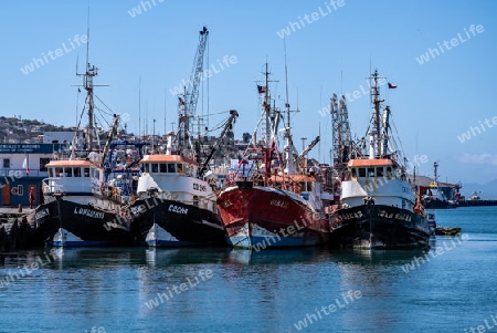 Fischerboote im Hafen von Coquimbo, Chile
