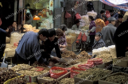 the Market in the city of Canton or Guangzhou in the north of Hongkong in the province of Guangdong in china in east asia. 