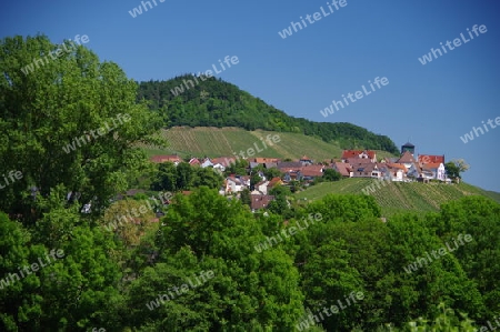 Dorf am Weinberg 1