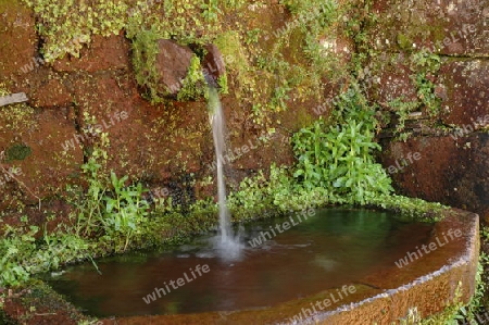 Brunnen am Fortshaus Rabacal auf Madeira