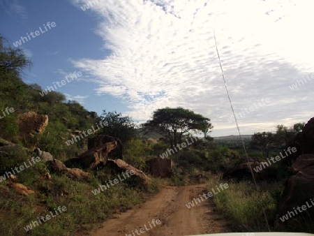 Landschaft, Tsavo, Nationalpark, Natur, Kenia, Kenya, Afrika