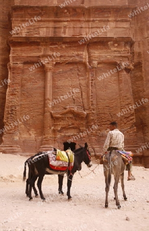 the street of Facades or Necropolis in the Temple city of Petra in Jordan in the middle east.