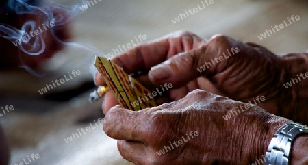 Gambling in Toraja