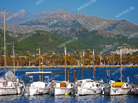 Hafen Mallorca Port d Andratx