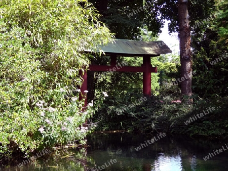 Japanische Garten - Pavillon-Dach am Teich, umgeben von Pflanzen