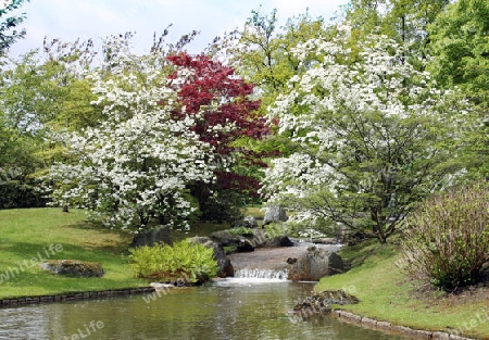 Japanischer Park in Hasselt, Belgien