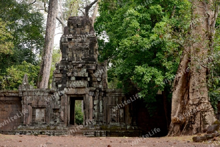 A Gate  in the Angkor Thom  in the Temple City of Angkor near the City of Siem Riep in the west of Cambodia.