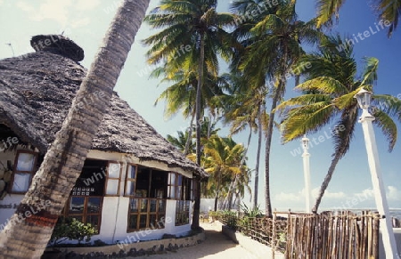 Der Traumstrand  von Michamvi am Chwaka Bay an der Ost-Kueste auf der Insel Zanzibar welche zu Tansania gehoert.         