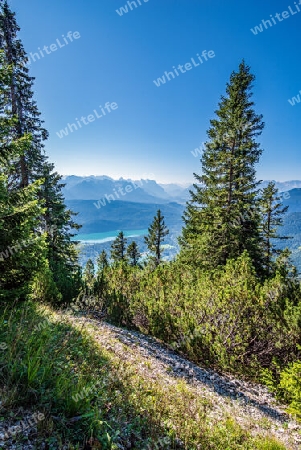 Der Herzogstand ist ein Berg in den Bayerischen Voralpen mit 1731 m ü. NHN nordwestlich des Walchensees. Er gehört zum Gebiet der Gemeinde Kochel am See und bildet mit seinem Nachbarn Heimgarten einen Höhenzug, der dem Estergebirge vorgelagert ist un