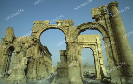 Die Ruinen von Palmyra in der Wueste Faydat in Syrien im Mittleren Osten in Arabien.