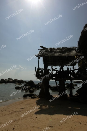 Der Strand  von Sai Naun Beach auf der Insel Ko Tao im Golf von Thailand im Suedwesten von Thailand in Suedostasien.  