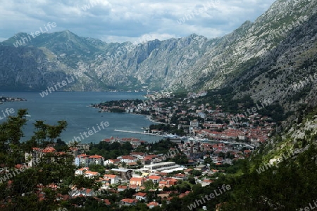 Die Stadt Kotor in der Kotorbucht an der Mittelmeer Kueste in Montenegro im Balkan in Osteuropa. 