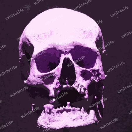Skull 010