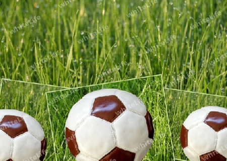 Fussball - (Kuchen) im Rasen