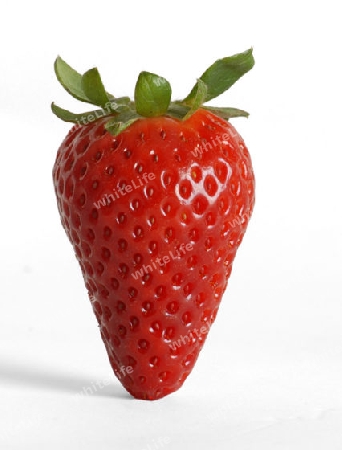 Eine  Erdbeere