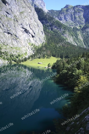 Obersee, Fischunkel- Alm
