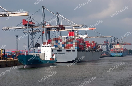 Containerverlad im Hamburger Hafen