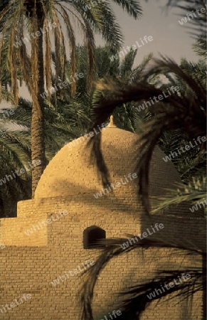 Afrika, Tunesien. Douz
Ein kleiner Speicher in der Dattel Plantage in der Oase Douz im sueden von Tunesien. (URS FLUEELER)







