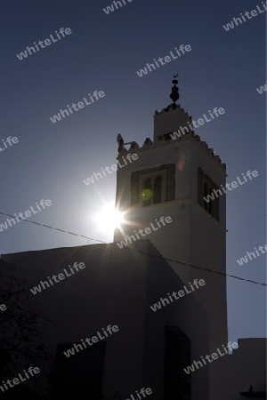 Afrika, Nordafrika, Tunesien, Tunis
Die Moschee mit dem Minarett in Altstadt von Sidi Bou Said am Mittelmeer und noerdlich der Tunesischen Hauptstadt Tunis. 





