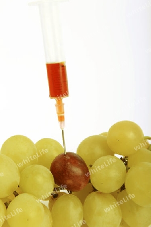 Spritze in Weintrauben, Genweintrauben, Symbolbild,  genmanipulierte Lebensmittel