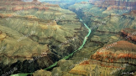 Colorado River (Grand Canyon)